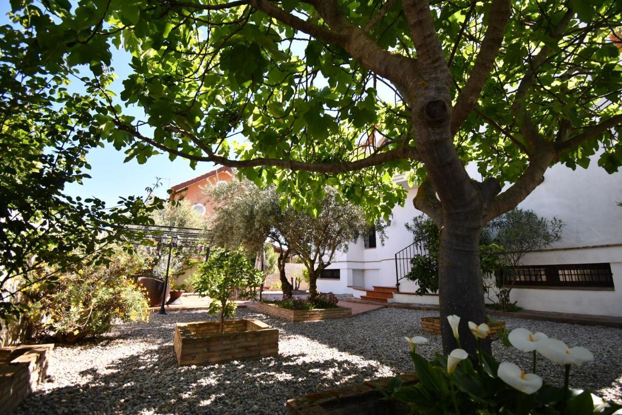 Villa Maria, Piscina Y Spa Exterior Privado Belicena Bagian luar foto